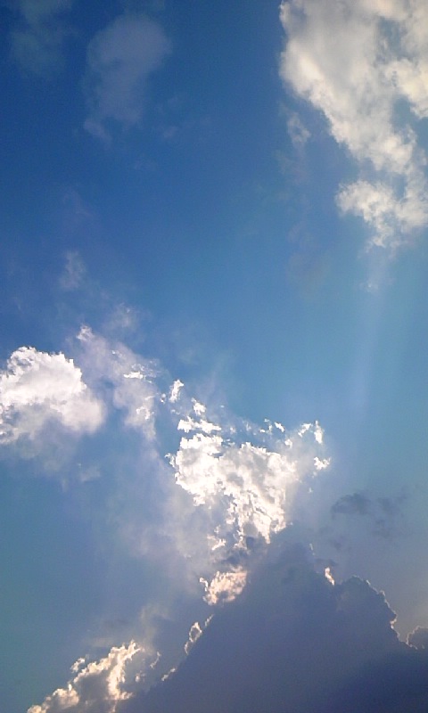 ���������R����