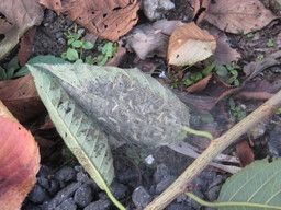 ���������R����