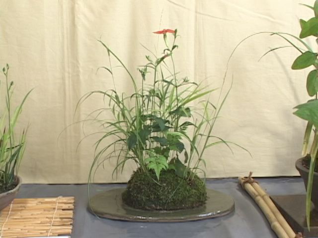 ���������R����