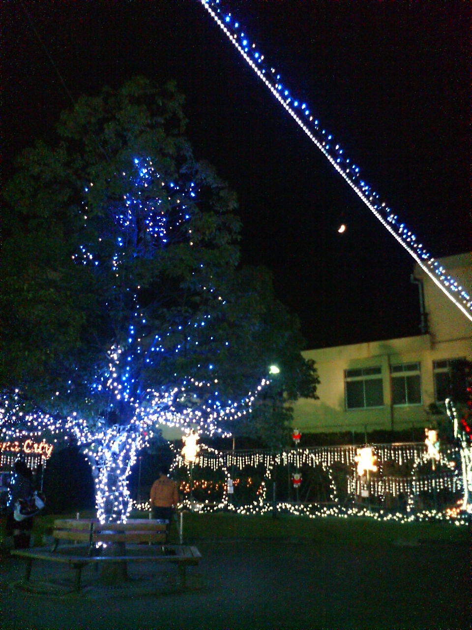 ���������R����