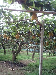 ���������R����