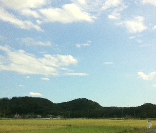 ���������R����