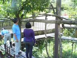 ���������R����