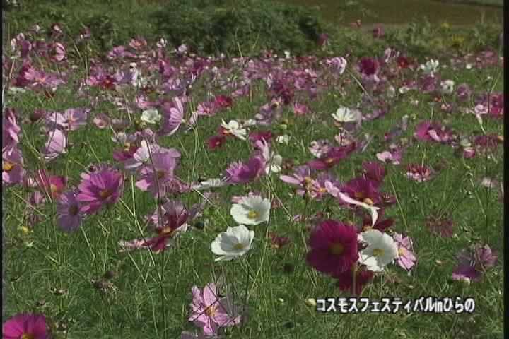 ���������R����