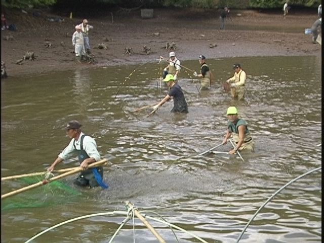 ���������R����