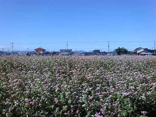 ���������R����