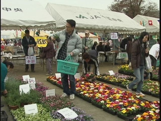 ���������R����