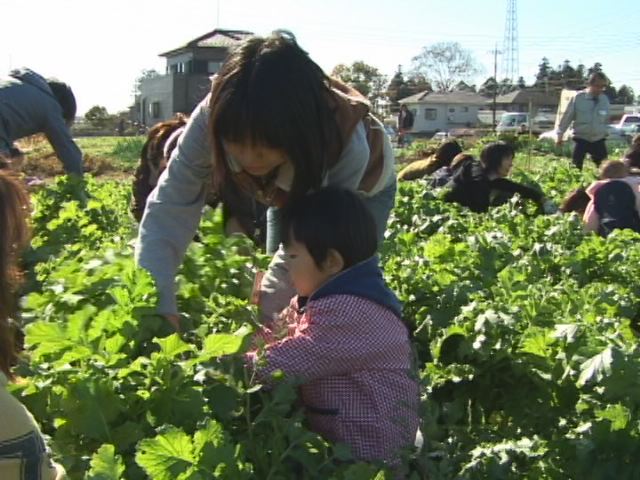 ���������R����