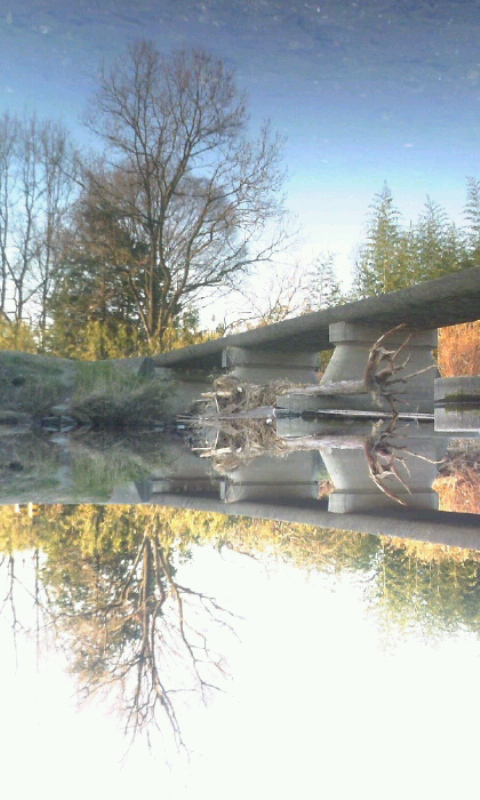 ���������R����