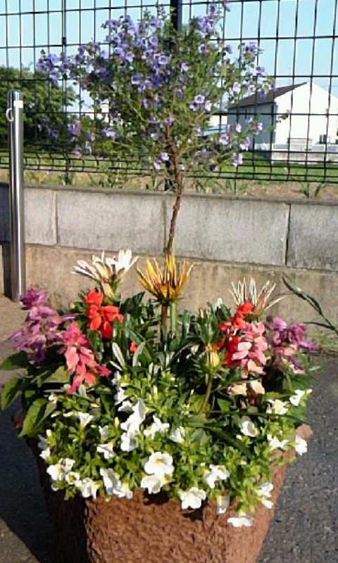 ���������R����