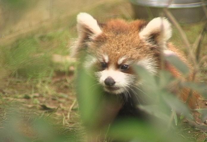 ���������R����