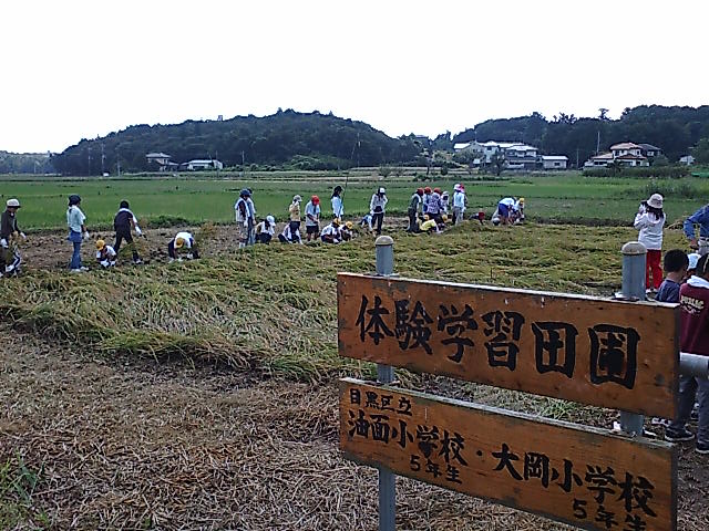 ���������R����