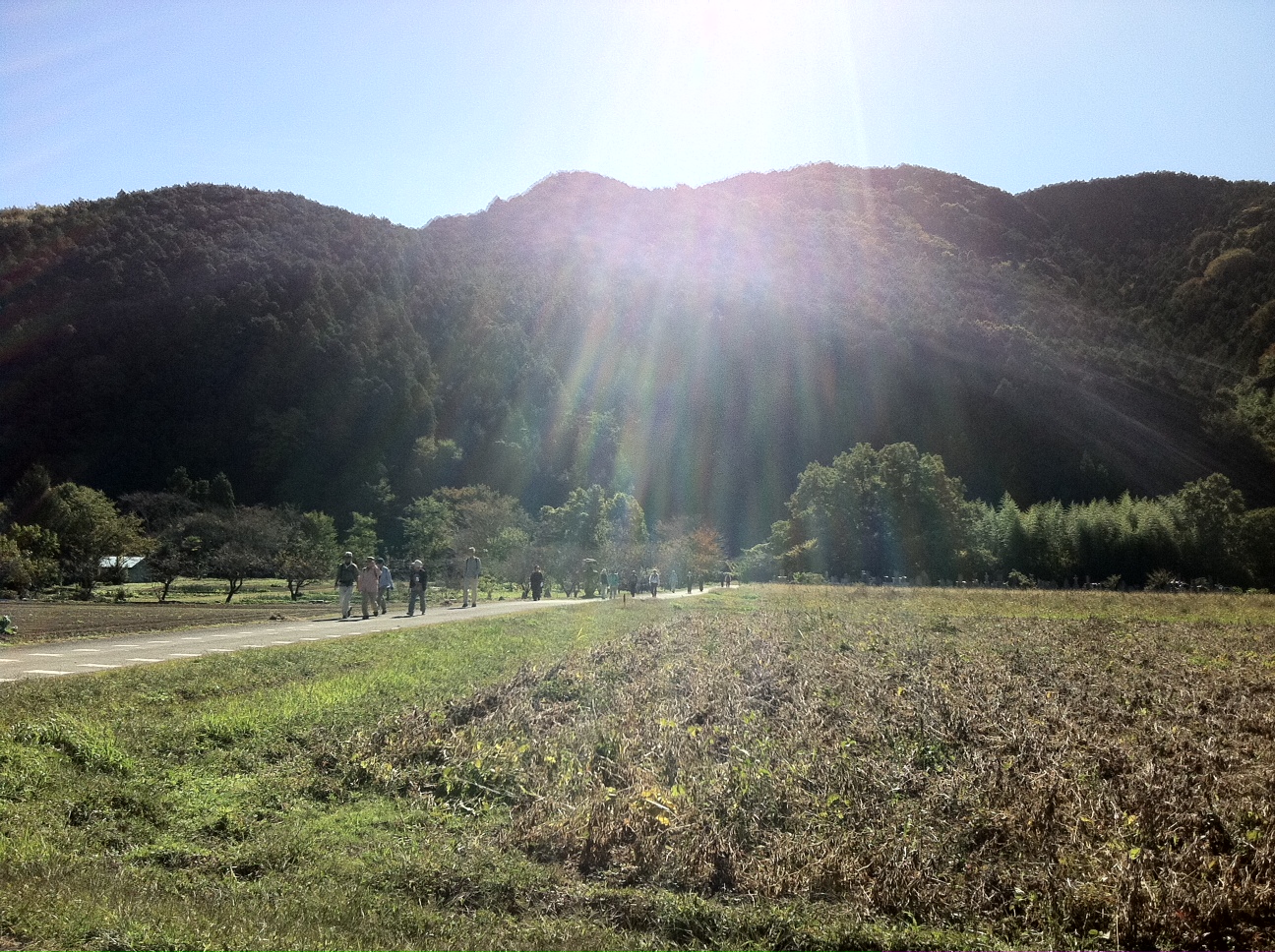 ���������R����