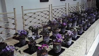 ���������R����