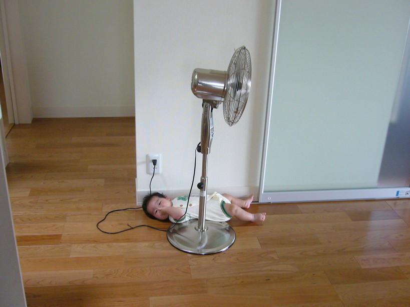 �}�C�P�������L