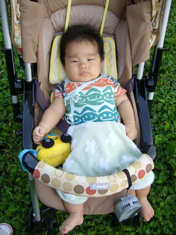 �}�C�P�������L