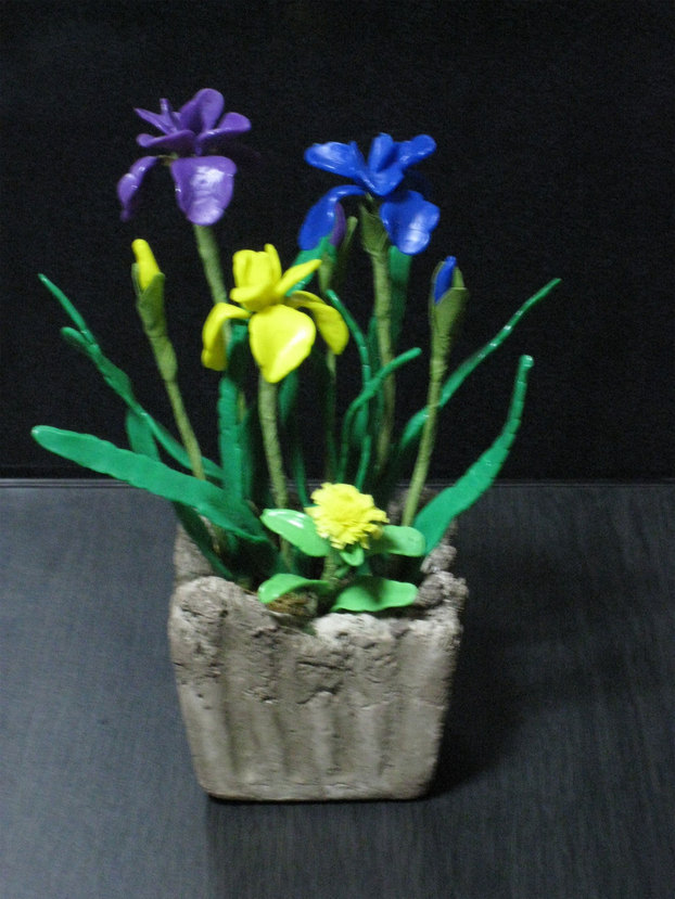 ���B�����q���ہ����灕�A�C�����r�[�Y�t�����[