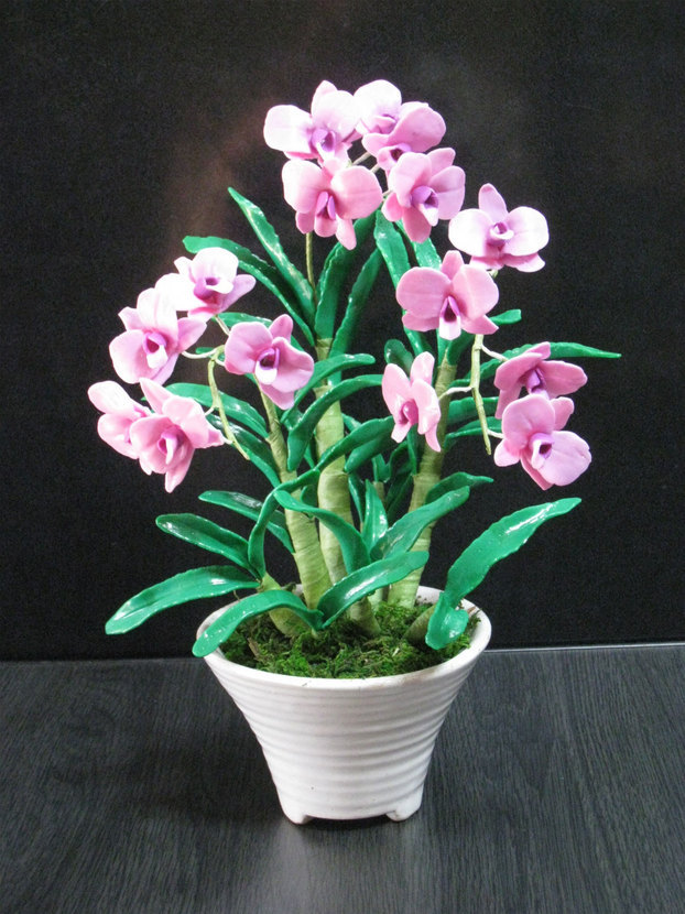 ���B�����q���ہ����灕�A�C�����r�[�Y�t�����[