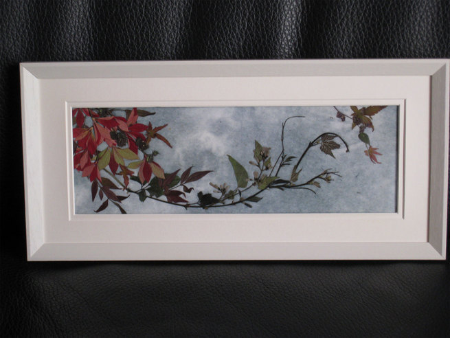 ���B�����q���ہ����灕�A�C�����r�[�Y�t�����[