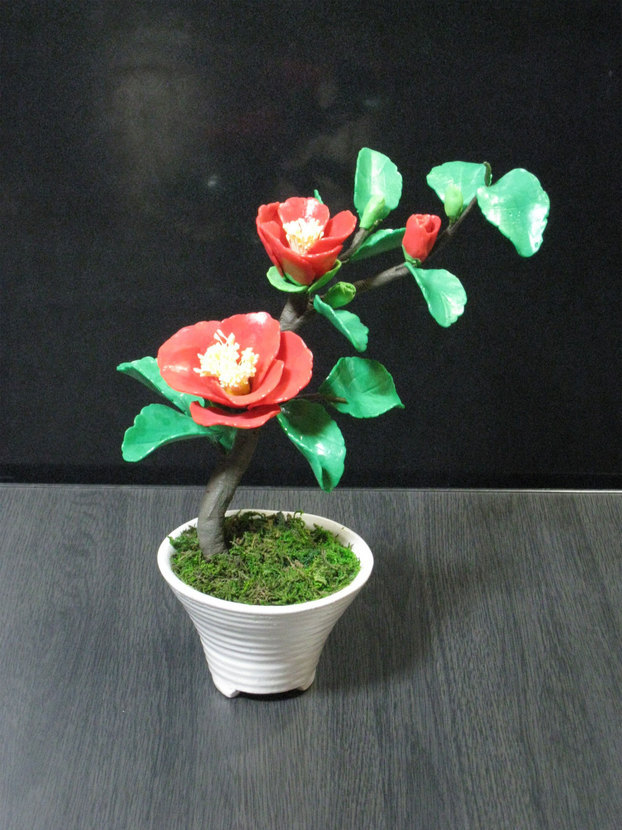 ���B�����q���ہ����灕�A�C�����r�[�Y�t�����[