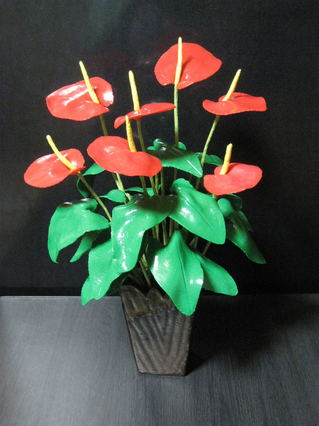 ���B�����q���ہ����灕�A�C�����r�[�Y�t�����[