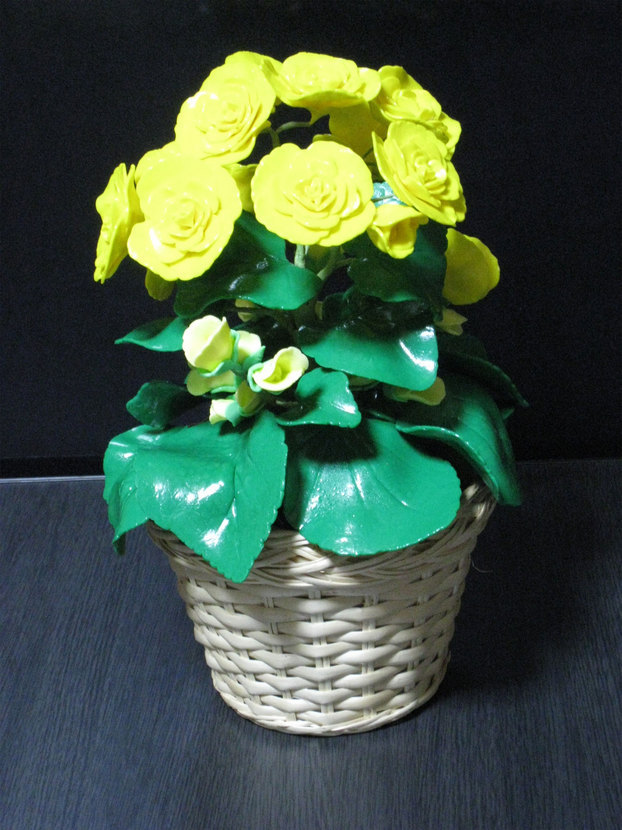 ���B�����q���ہ����灕�A�C�����r�[�Y�t�����[