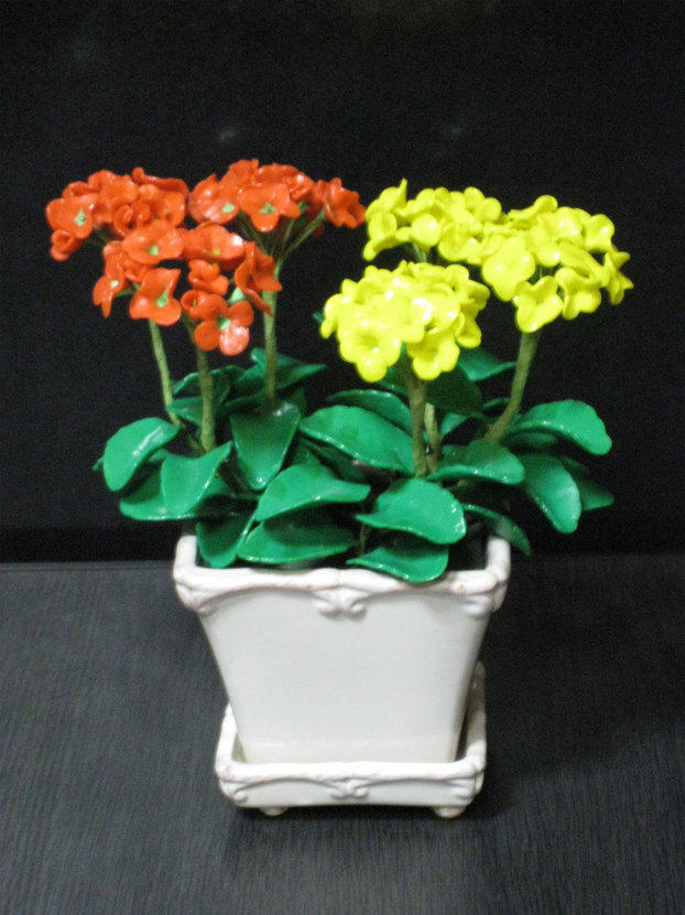 ���B�����q���ہ����灕�A�C�����r�[�Y�t�����[