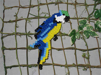 ���B�����q���ہ����灕�A�C�����r�[�Y�t�����[