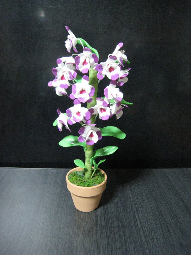 ���B�����q���ہ����灕�A�C�����r�[�Y�t�����[