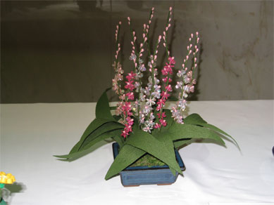 ���B�����q���ہ����灕�A�C�����r�[�Y�t�����[