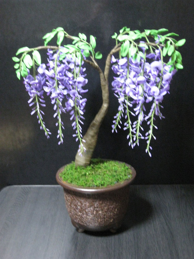 ���B�����q���ہ����灕�A�C�����r�[�Y�t�����[