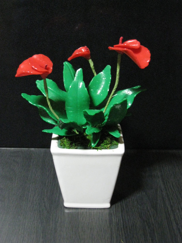 ���B�����q���ہ����灕�A�C�����r�[�Y�t�����[