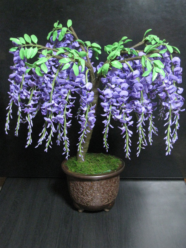 ���B�����q���ہ����灕�A�C�����r�[�Y�t�����[