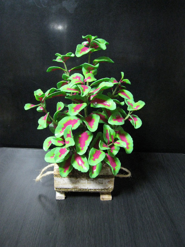 ���B�����q���ہ����灕�A�C�����r�[�Y�t�����[