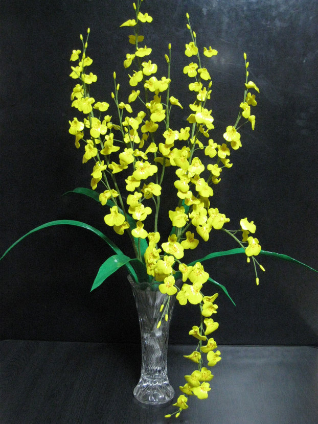 ���B�����q���ہ����灕�A�C�����r�[�Y�t�����[