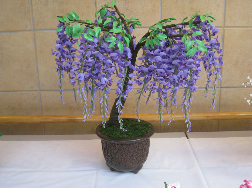 ���B�����q���ہ����灕�A�C�����r�[�Y�t�����[