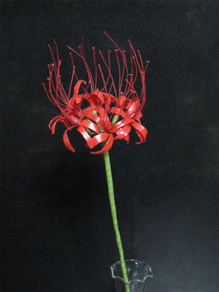 ���B�����q���ہ����灕�A�C�����r�[�Y�t�����[