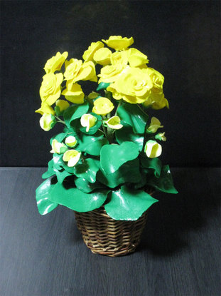 ���B�����q���ہ����灕�A�C�����r�[�Y�t�����[