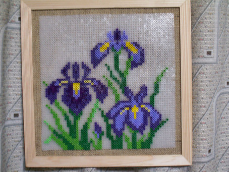 ���B�����q���ہ����灕�A�C�����r�[�Y�t�����[