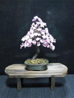 ���B�����q���ہ����灕�A�C�����r�[�Y�t�����[