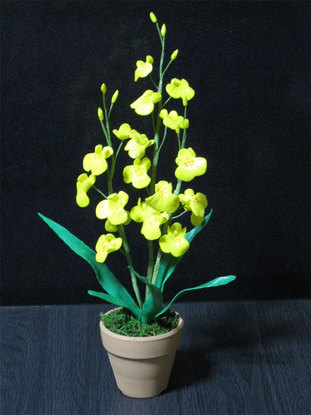 ���B�����q���ہ����灕�A�C�����r�[�Y�t�����[