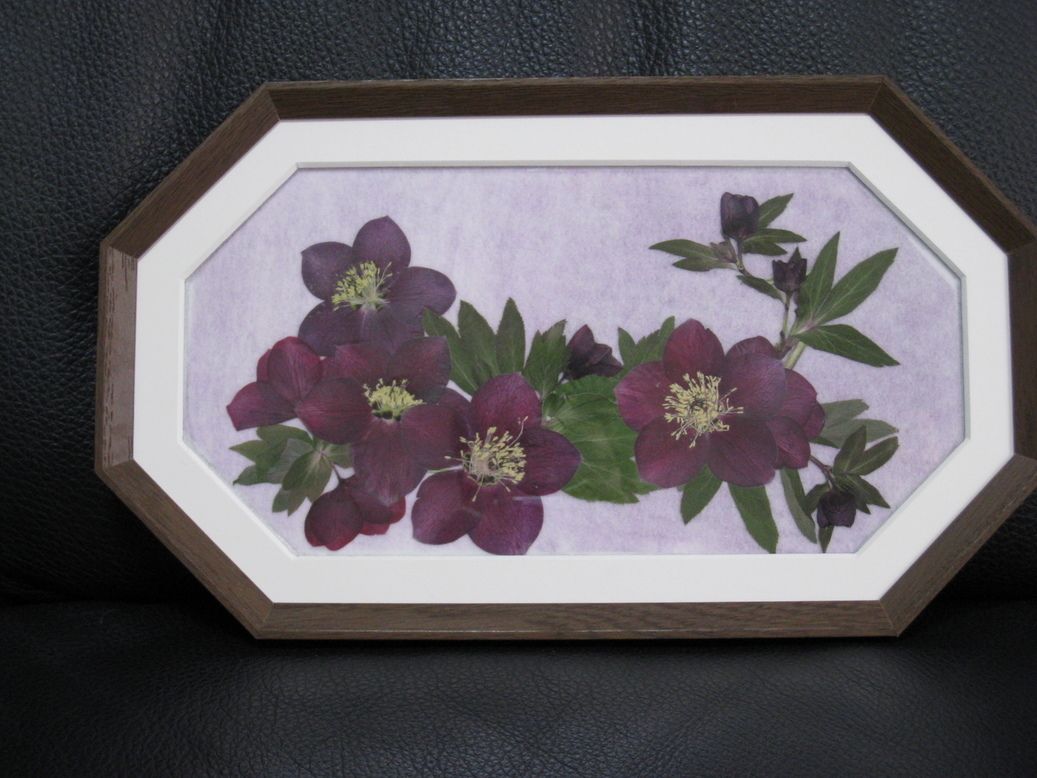 ���B�����q���ہ����灕�A�C�����r�[�Y�t�����[