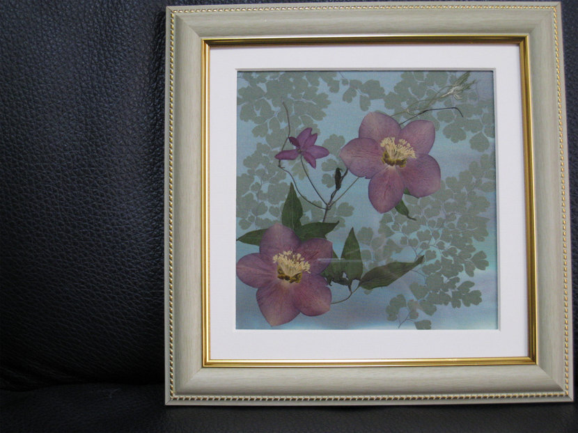 ���B�����q���ہ����灕�A�C�����r�[�Y�t�����[