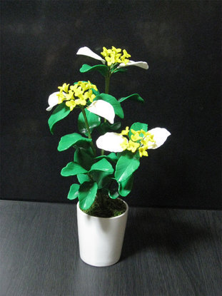 ���B�����q���ہ����灕�A�C�����r�[�Y�t�����[