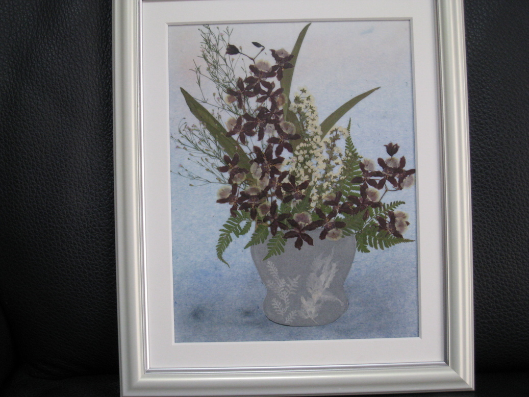 ���B�����q���ہ����灕�A�C�����r�[�Y�t�����[