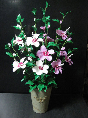 ���B�����q���ہ����灕�A�C�����r�[�Y�t�����[