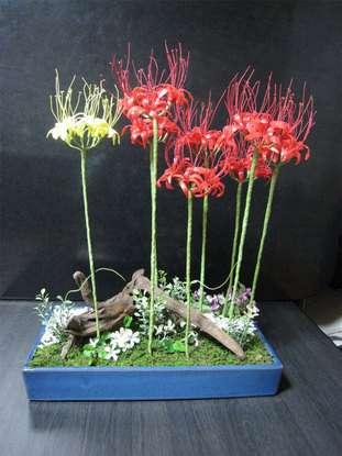 ���B�����q���ہ����灕�A�C�����r�[�Y�t�����[