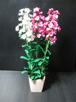 ���B�����q���ہ����灕�A�C�����r�[�Y�t�����[