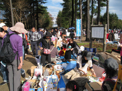 ���B�����q���ہ����灕�A�C�����r�[�Y�t�����[