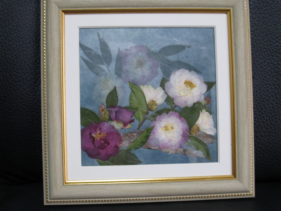 ���B�����q���ہ����灕�A�C�����r�[�Y�t�����[